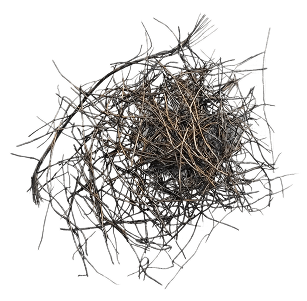 Premium recycled radial steel wire separated from Truck and Bus Radial end-of-life tyres