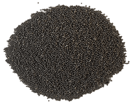 Steel shot blasting media